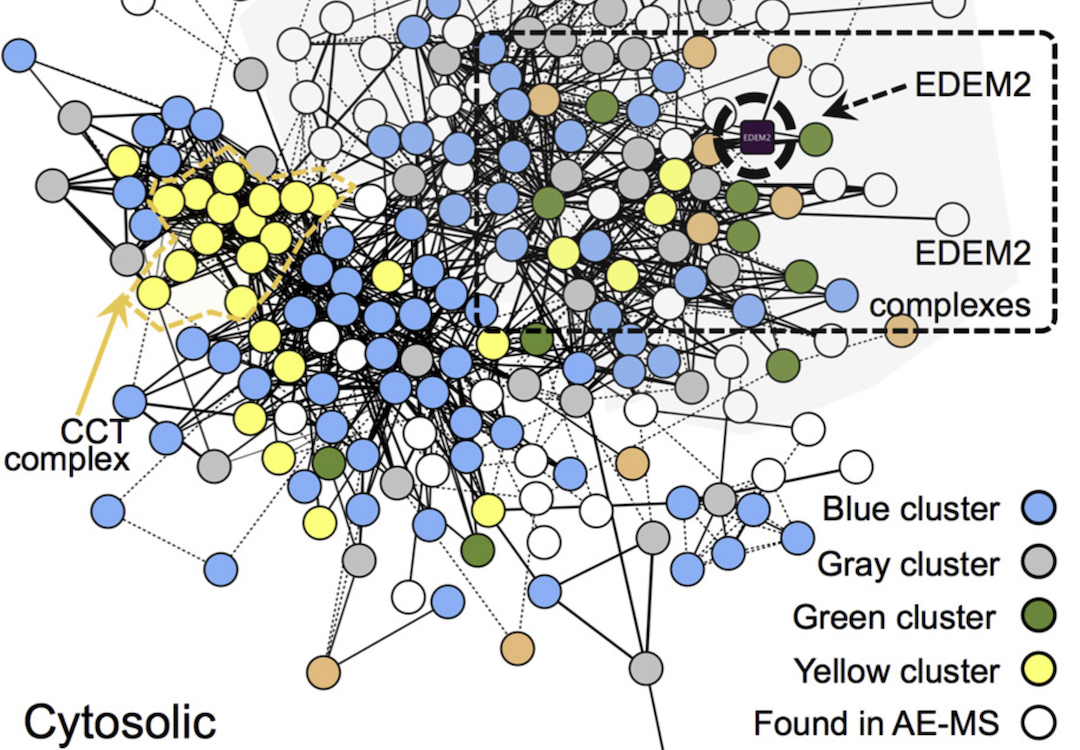 Applied Proteomics and Interactomics
